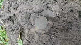 LC dirt.webp