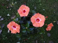 K1600_DSCN4905.webp