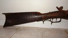gun2.webp