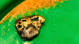 Nugget with Gold 1.webp