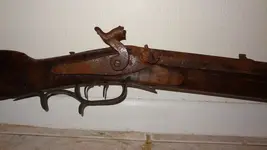 gun3.webp