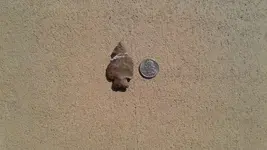 20170924_153451.webp