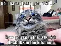 lsd.webp lsd.webp