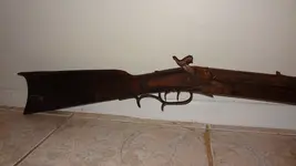 gun6.webp