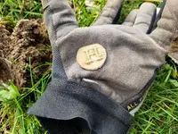 h lead coin.webp