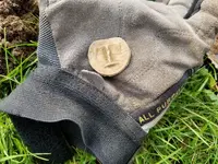 T lead coin.webp