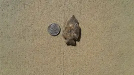 20170924_153734.webp