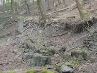 DSC03283.webp