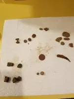 20170930_201802.webp