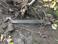 scale 4.webp
