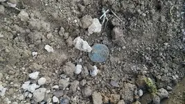 Copper Dirt.webp