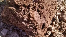 Copper Dirt2.webp Copper Dirt2.webp