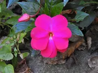 K1600_DSCN4903.webp