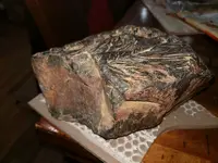 15091526005124911451428923685437.webp