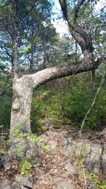 IMG_20171008_151221699-1.webp