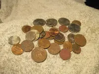 IMG_0465.webp IMG_0465.webp