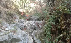20171001_134010.webp 20171001_134010.webp