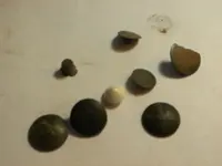 DSCN1888.webp