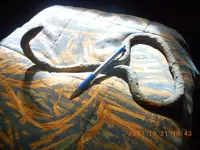 DSCN2638.webp