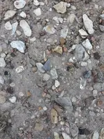 ImageUploadedByTreasureNet.com1509854000.323193.webp