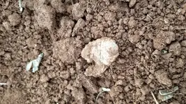 20171119_160249.webp