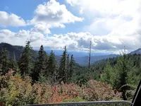 cascades swA.webp