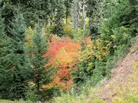 twin lakes1A.webp twin lakes1A.webp
