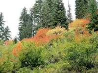 twin lakes4A.webp