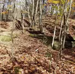 20171027_193452.webp