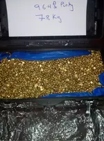 gold.webp