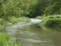 P5220008.webp