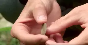 Oak Island - Coin Season 5.webp