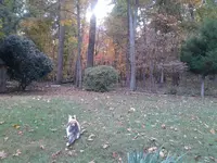 1103171554.webp