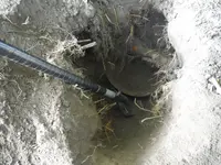 DSCF1468.webp