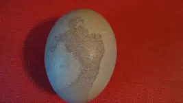 grinch egg 004.webp