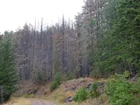 twin lakes fireA.webp