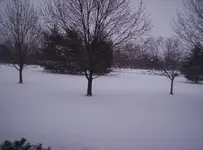 100_9635.webp