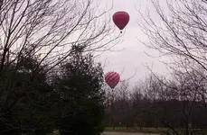 100_9616.webp