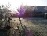 100_5085.webp