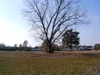 corner lot.webp