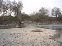 3 7 08 river 024.webp