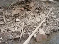 3 7 08 river 037.webp
