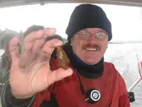 danarrowhead.webp