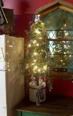 kitchentree.webp