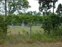 hoffman cemetery.webp