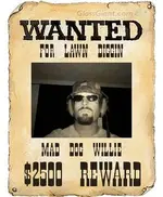 wantedposter.webp