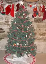 basement tree.webp