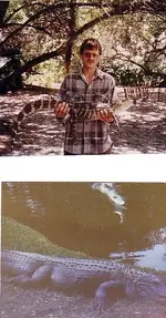 pet gator.webp