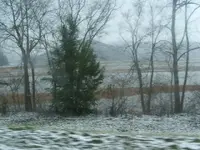 DSCF0491.webp