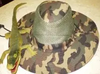 Hat1.webp